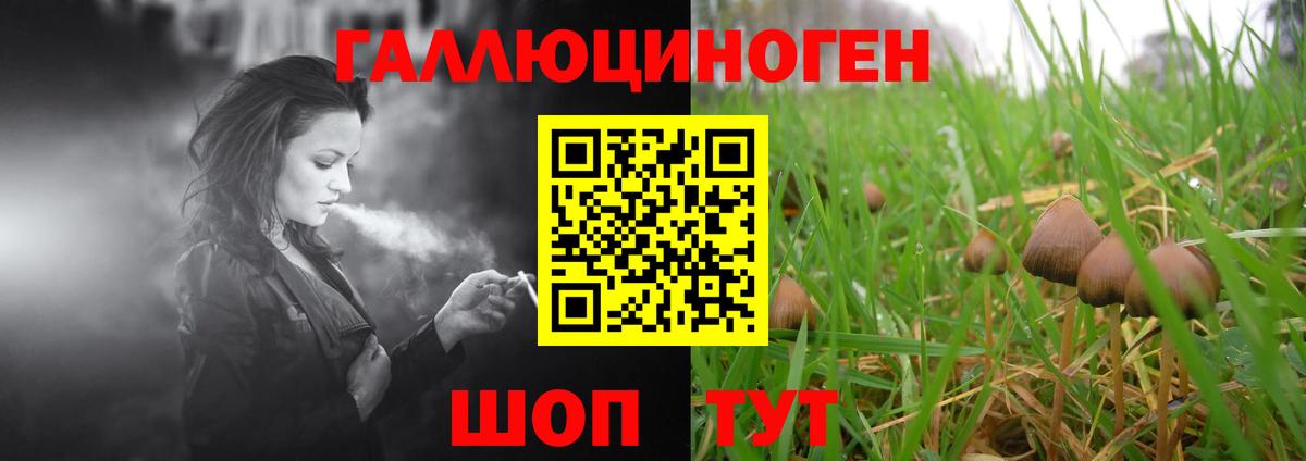 Галлюциногенные грибы прущие грибы Жигулёвск